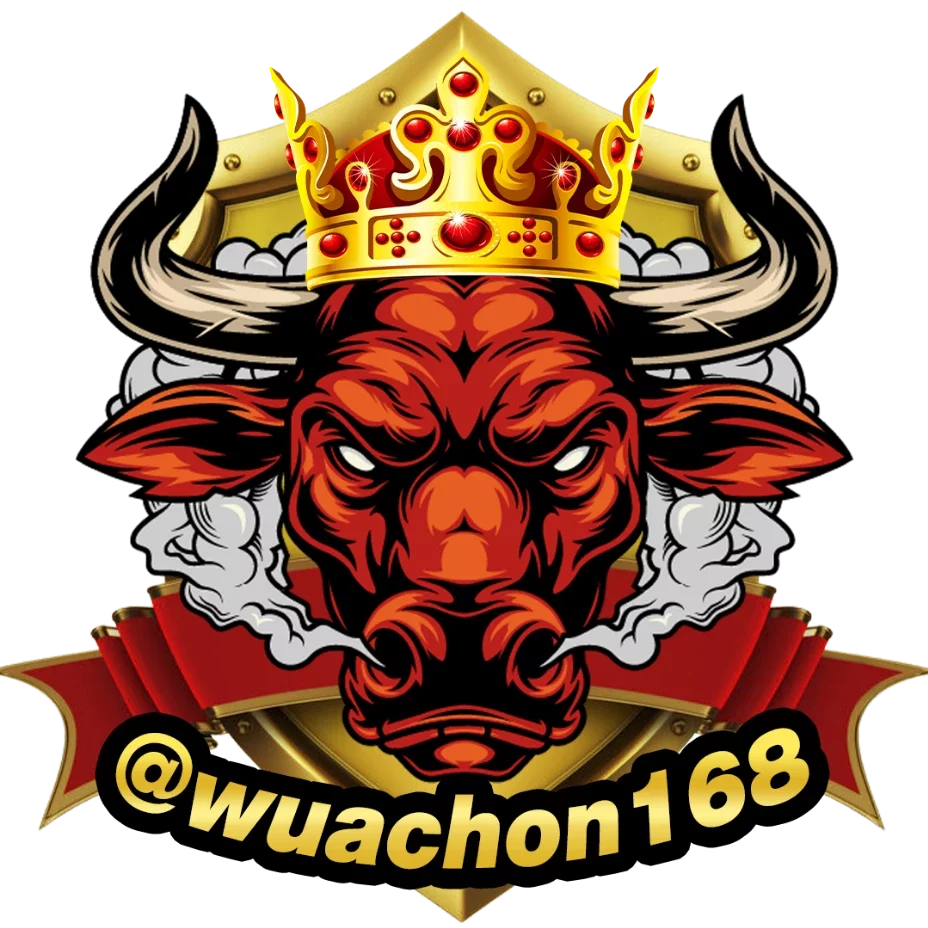 วัว ชน 168