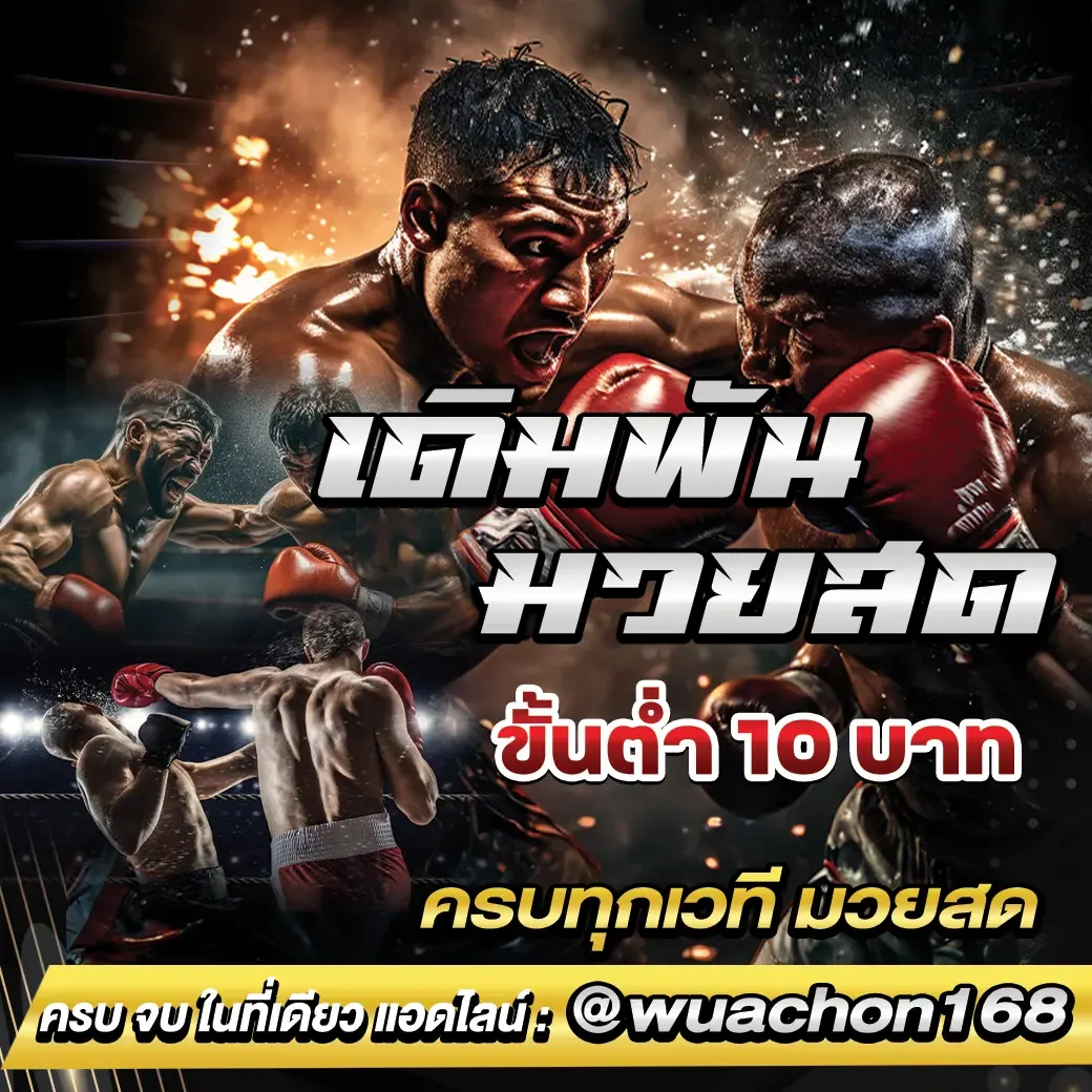 วัว ชน 168