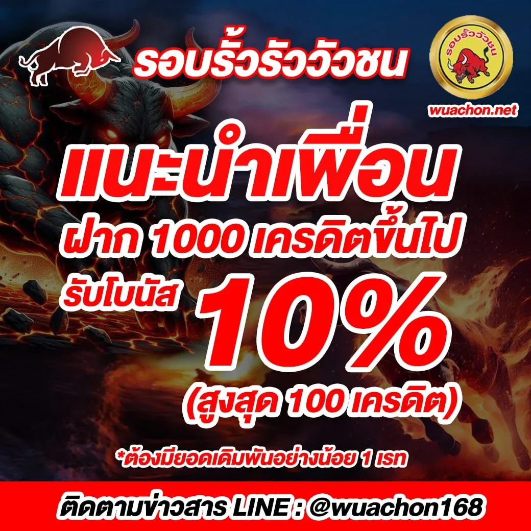 วัว ชน 168