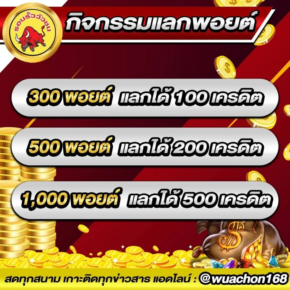 วัว ชน 168